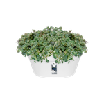 loft urban wall basket 40cm white